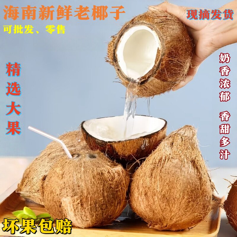 海南水果老椰子新鲜椰子去皮毛椰子鸡牛奶椰皇椰宝椰青榨汁煲汤