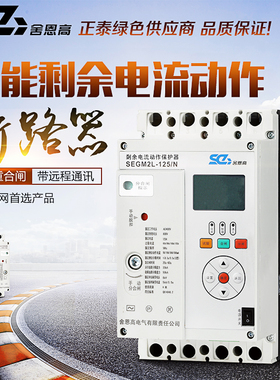 SEGM2L-250/3N 250A  自动重合闸 智能漏电综合保护器 液晶屏光伏