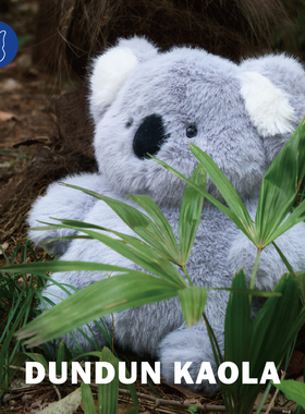 蝴蝶效应灰色考拉公仔抱枕树袋熊毛绒玩具床上睡觉抱安抚玩偶正版