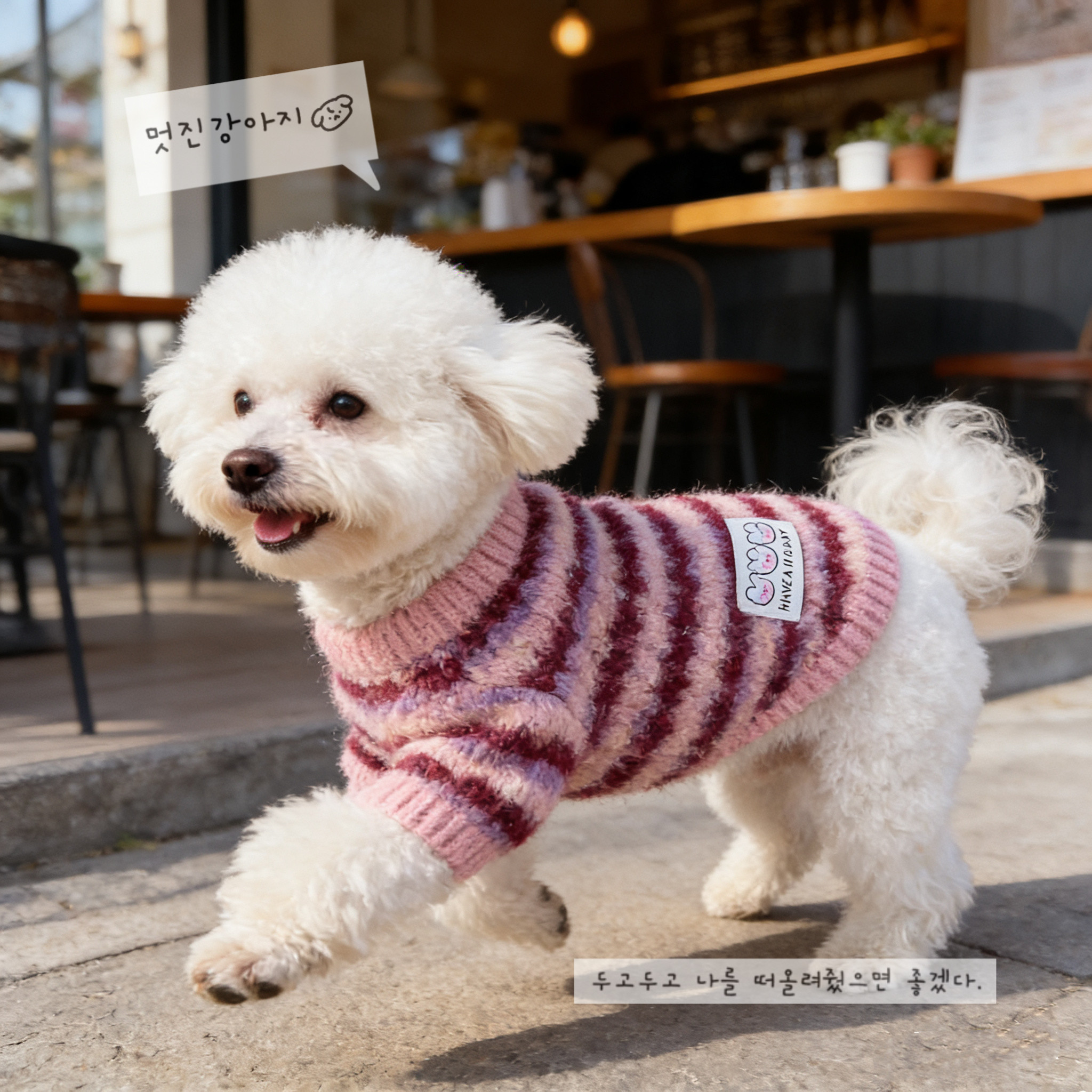 韩版ins风秋冬宠物条纹毛呢保暖服猫咪狗狗条纹卫衣衣服绒衣毛衣