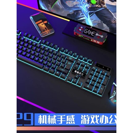 双飞蛇键盘鼠标套装机械手感发光游戏电脑有线USB电脑通用办公家