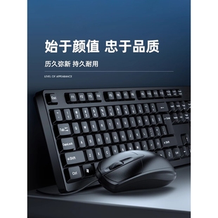 有线台式 双飞蛇电脑键盘鼠标套装 笔记办公打字usb家用商务手感三