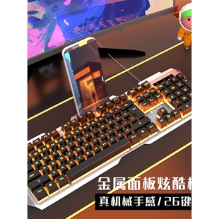 电脑家用笔记本USB发 双飞蛇发光游戏机械手感有线键盘鼠标套台式