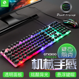 背光台式 双飞蛇有线键盘鼠标套装 电脑笔记本USB口悬浮键帽机械手