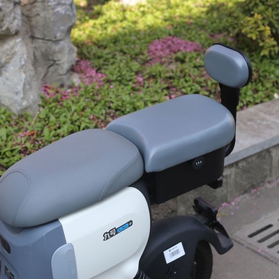 九号电动车A35+/A80+/A60+尾箱