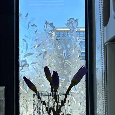 防偷窥阳台玻璃贴纸索乐特