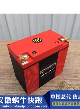 Wstandard  K1600GT/GTL 超强电流 磷酸锂ADV 大功率电瓶