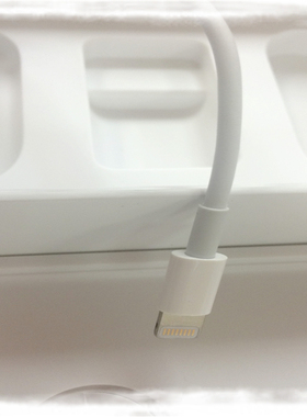 赠品:满额100拍29.9得原装usb转lighting手机耳机线usb-c线type-c
