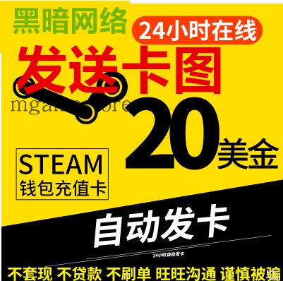 Steam充值20美金钱包码40美元50/100美金正规卡图