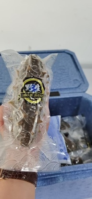 名泽海参鲜蒸好口感即食1500g三斤限时特价