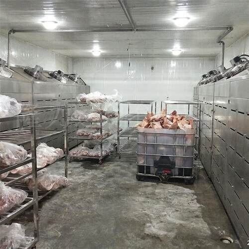 猪肉二分体四分体解冻机猪排骨低温湿解冻库牛肉低温解冻设备