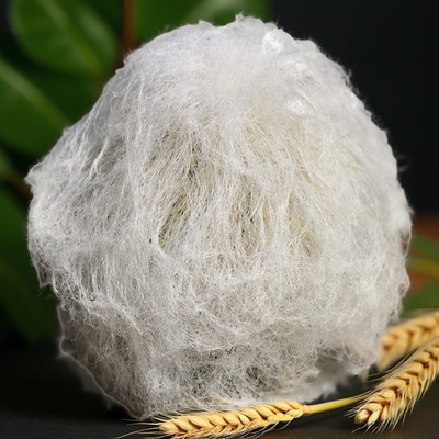 实生幻乐仙人球多肉植物阳台好养