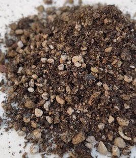 青青花草多肉植物花卉小盆栽生石花肉锥仙人球专用大颗粒种植土