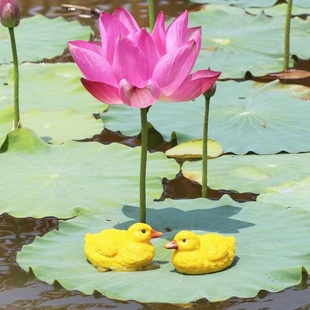 饰品 浮水鸳鸯小黄鸭一对摆件花园庭院客厅流水喷泉鱼缸树脂动物装