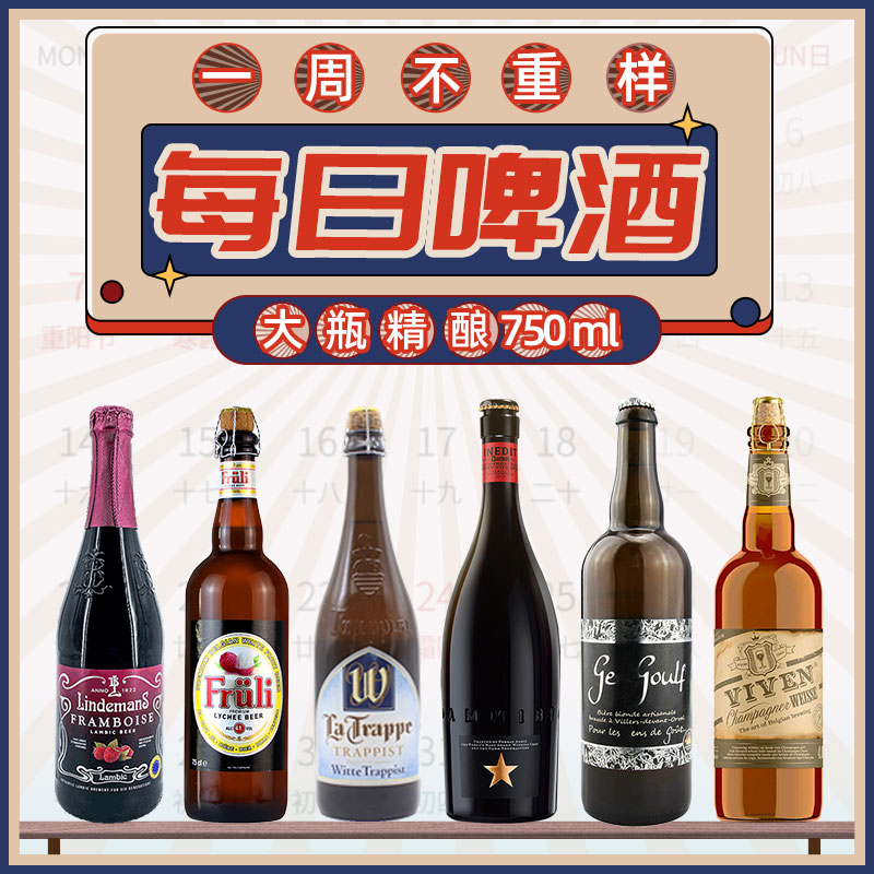 全球进口精酿啤酒6瓶750ml尝鲜