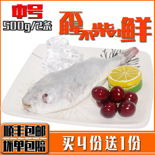河豚鱼食用养殖河鲀新鲜活半成品冰鲜刺身即食现杀急冷冻杀前500g