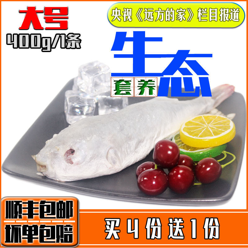 食用河豚鱼海鲜类新鲜河鲀鱼肉大型去毒东方鲀速冷冻水产杀前400g