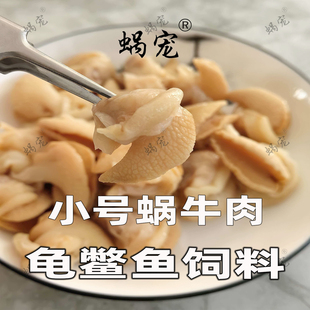 白玉蜗牛肉龟鳖饲料龟粮巴西龟草龟食物陆龟观赏龟专用小乌龟粮食