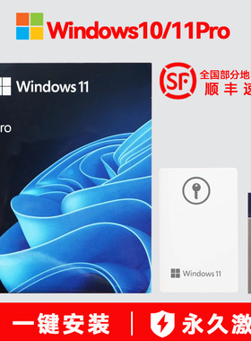 正版Win10/11专业版U盘操作系统Windows10/11 Pro 64位纯净版