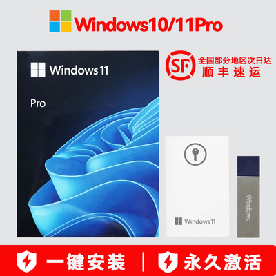 正版Win10/11专业版U盘操作系统Windows10/11 Pro 64位纯净版