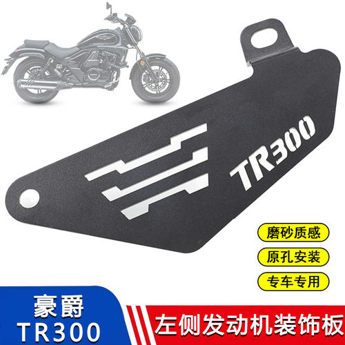 适用豪爵TR300 摩托车改装发动机左侧护板 左侧装饰保护挡板配件