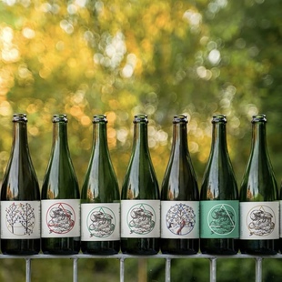 比利时 解药 迷幻双桃/费解单桃/朦胧家葡/类比白诗南 精酿啤酒