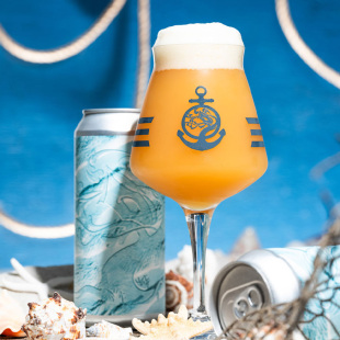 海之宝石 非常黄 庆典 银蕨 精酿啤酒 美国树屋 红蕨 25年7月产