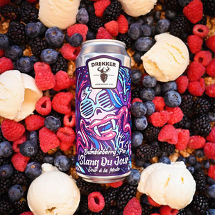 酸厂|美国 德雷克 新款 大脑系列/今日俚语 水果酸艾尔 精酿啤酒