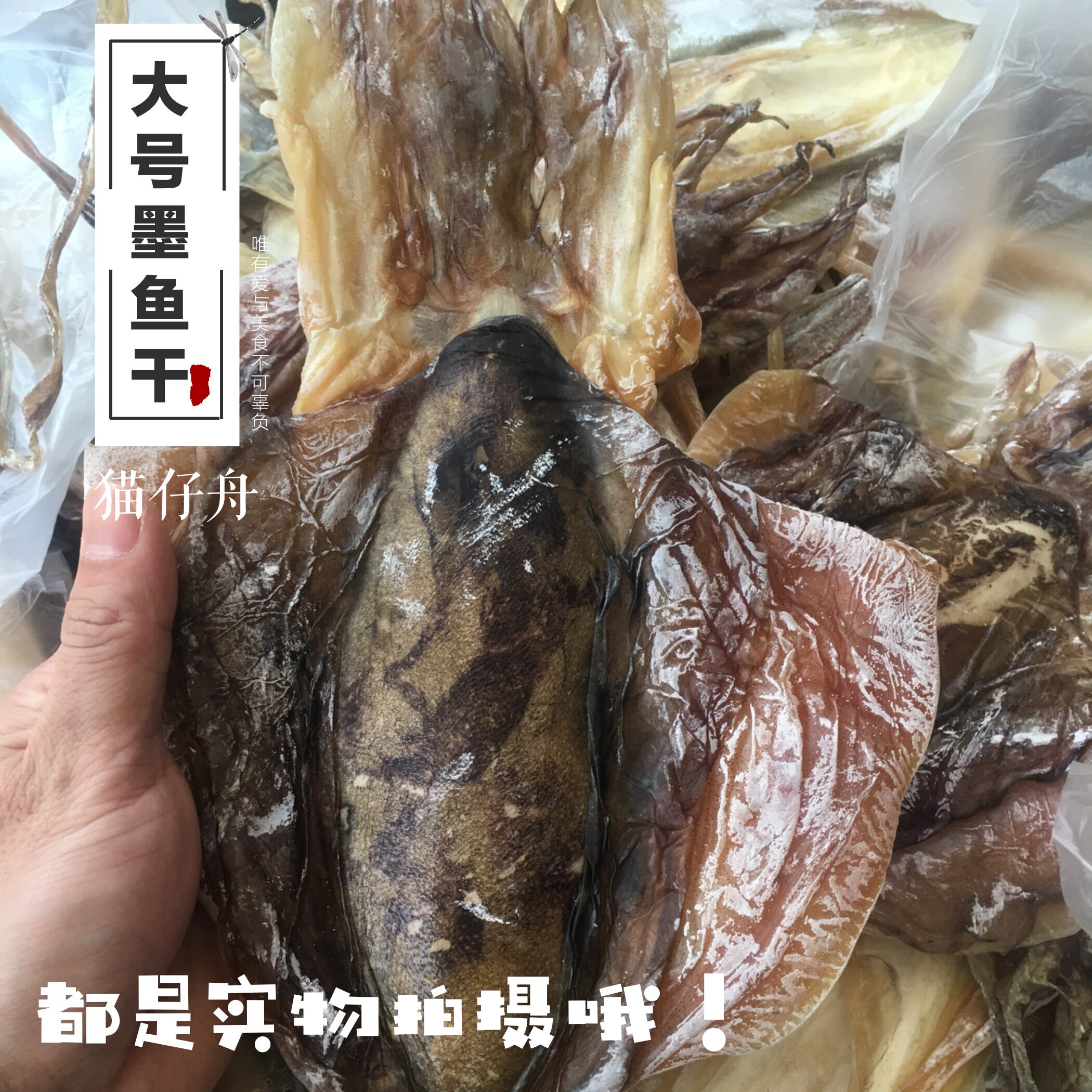 福建特产东山岛本港海鲜干货大号淡晒木鱼墨鱼目鱼乌贼干500g包邮