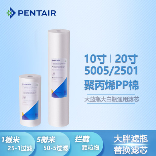 PentairDGD-5005/2501PP棉
