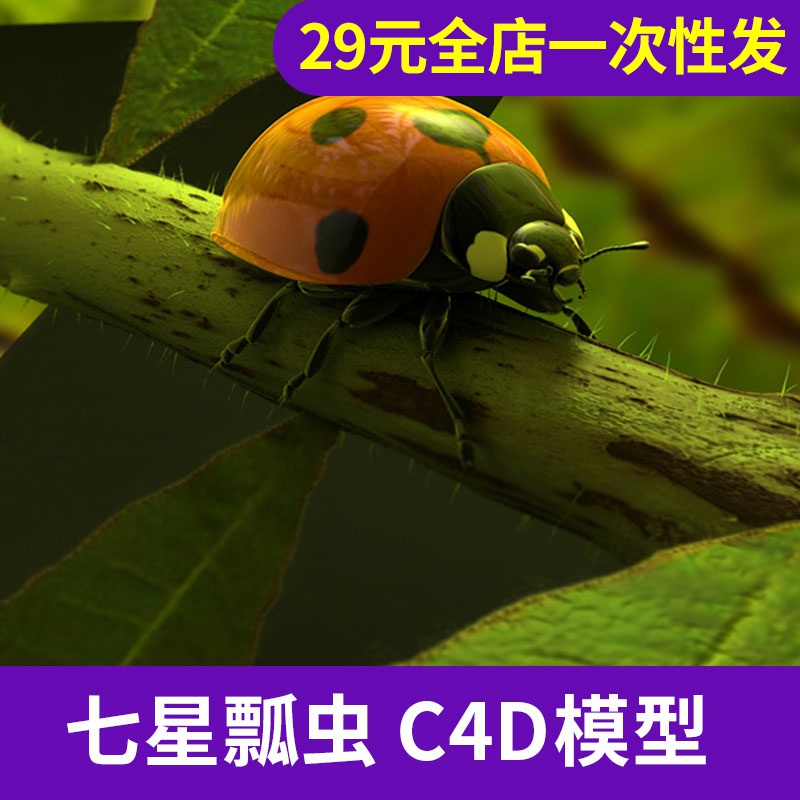 自动发货昆虫模型七星瓢虫c4d模型益虫创意场景3d模型素材a756