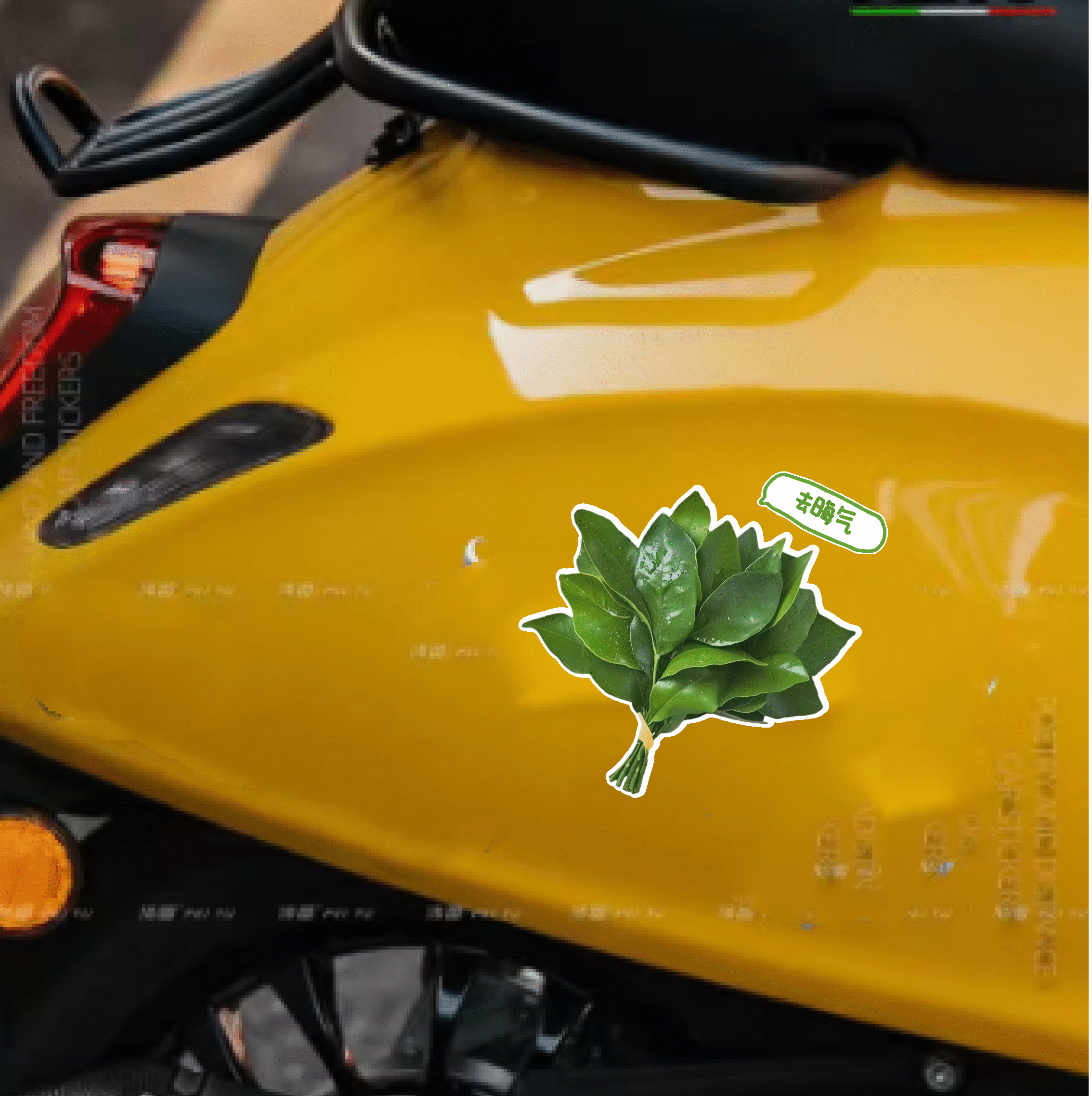 创意柚子叶装饰贴去晦气好运贴纸