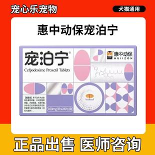 宠泊宁头孢泊肟酯片沃贝舒宠物猫狗感冒咳嗽呼吸道皮肤泌尿消炎药