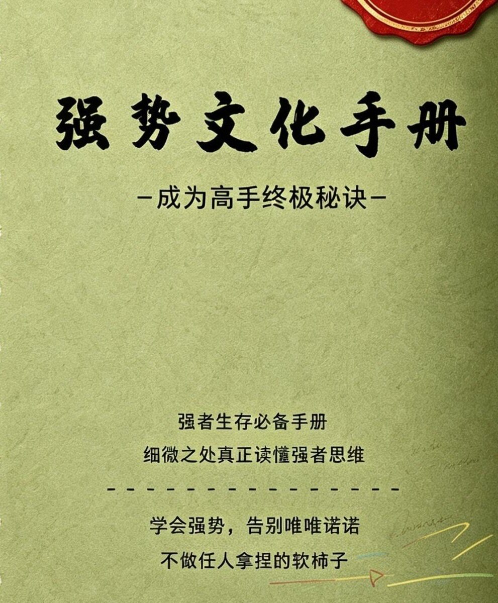 强势文化手册成为高手的终极秘诀图片