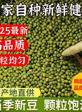 【商超直供】25年绿豆新鲜发芽农家新货绿豆薄皮优质绿豆粥绿豆糕