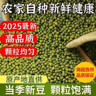 25年绿豆新鲜发芽农家新货绿豆薄皮优质绿豆粥绿豆糕 商超直供