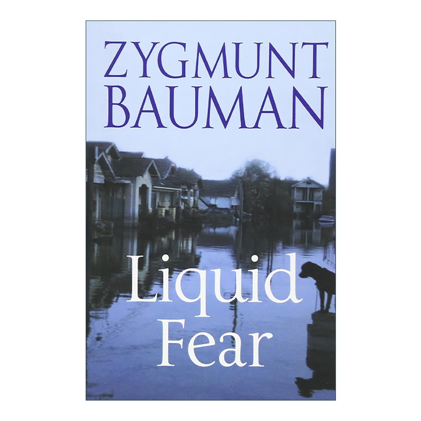 英文原版 Liquid Fear 流动的恐惧 齐格蒙特·鲍曼 英文版 进口英语原版书籍