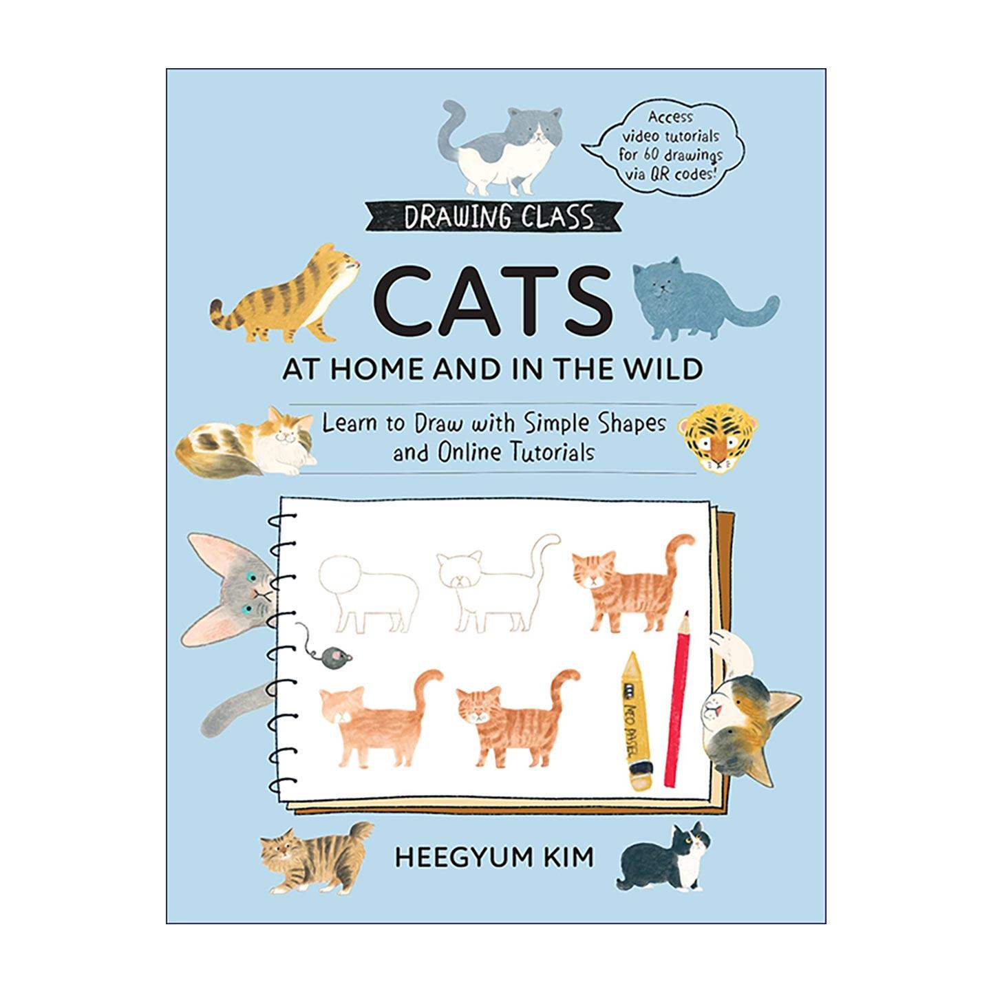 英文原版 Drawing Class Cats at Home and in the Wild 零基础绘画课 用简单形状画出60只家猫与野猫 附视频教程 进口英语原版