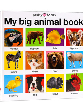 我的大本动物书 My Big Animal Book Casebound  英文原版低幼早教动物认知启蒙图画书 英文版 进口英语书籍