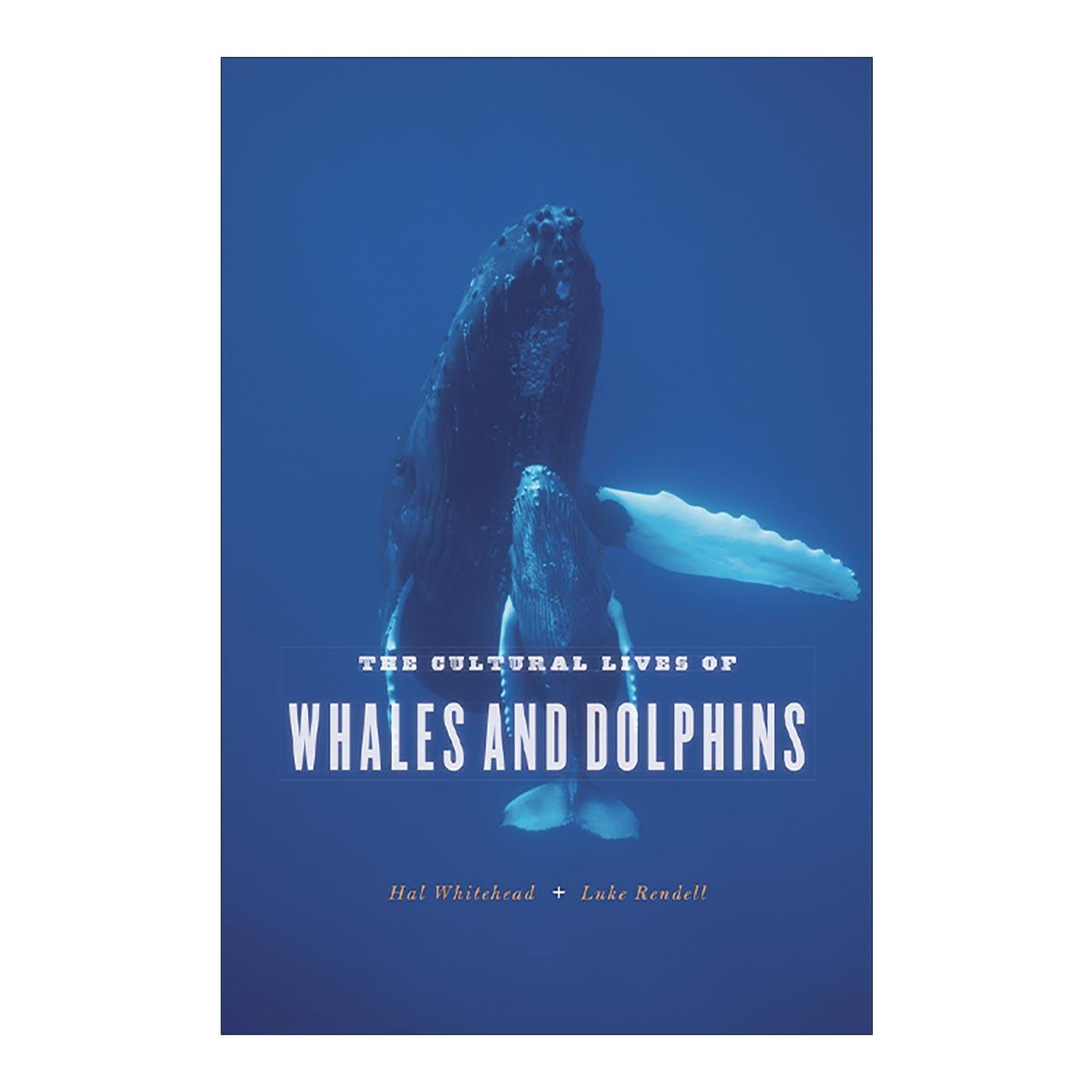 英文原版 The Cultural Lives of Whales and Dolphins 鲸鱼海豚有文化 探索海洋哺乳动物的社会与行为 生物学教授哈尔·怀特黑德