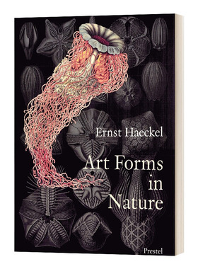 英文原版 Art Forms in Nature Prints of Ernst Haekel 大自然中的艺术形式 恩斯特·海克尔的版画 英文版 进口英语原版书籍
