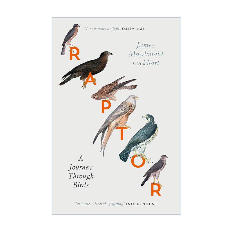 英文原版 Raptor 英国猛禽观察之旅 James Macdonald Lockhart自然写作 英文版 进口英语原版书籍