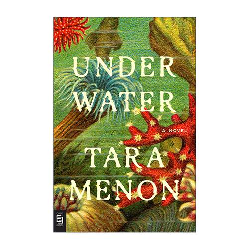 英文原版 Under Water 水下 友谊小说 Tara Menon 英文版 进口英语原版书籍