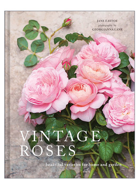 英文原版 Vintage Roses Beautiful Varieties For Home and Garden 复古色玫瑰 适合家庭和花园的美丽品种 精装花卉画册 英文版