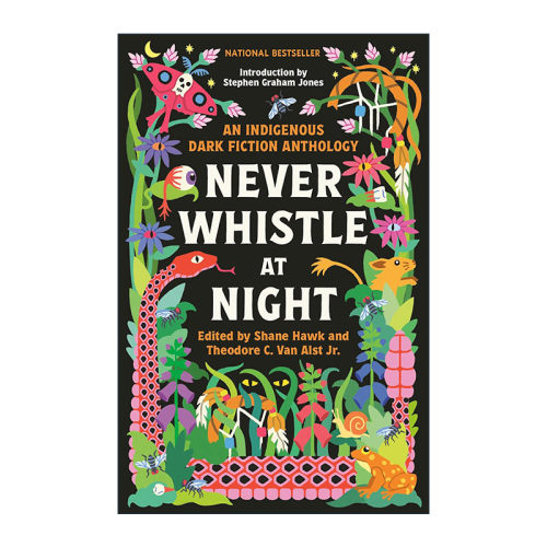 英文原版 Never Whistle at Night 晚上不要吹口哨 短篇恐怖小说选集 Shane Hawk 英文版 进口英语原版书籍