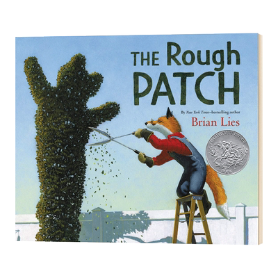 粗糙的补丁精装英文儿童绘本