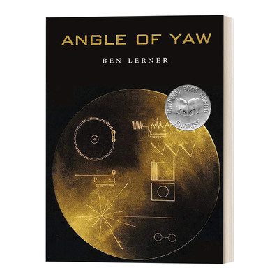 Angle of Yaw 偏航角 Ben Lerner本·勒纳