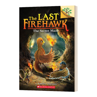 英文原版 进口英语书籍 The Secret Firehawk 秘密迷宫 Last 儿童桥梁章节书 学乐大树系列 Maze 火鹰传奇10