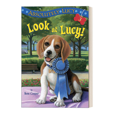 英文原版 Absolutely Lucy 03 Look at Lucy 绝对的露西系列3 幸运的露西 儿童章节桥梁书 Amanda Harvey 英文版 进口英语原版书籍