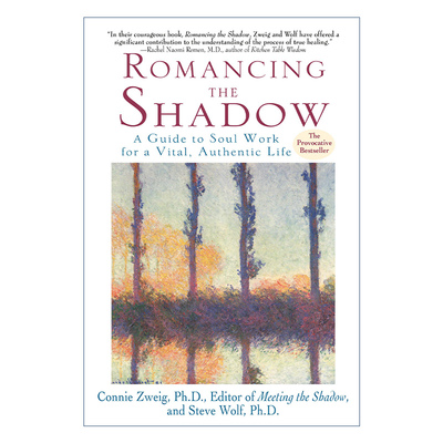 Romancing the Shadow 浪漫的阴影 为充满活力并真实生活的灵魂工作指南 心理学 Steven Wolf